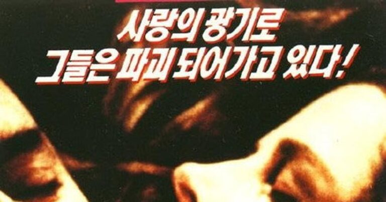 밤의 문을 열다 OTT / 다시보기 방법 재밌게 봤다면 다른 추천작도! 심층 분석